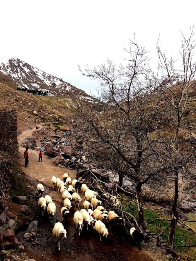 Gite Entre Les Vallees Tacheddirt Zewnętrze zdjęcie